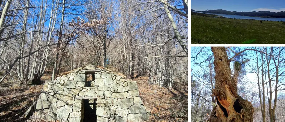 Escursione sul monte Trematerra, viaggio tra castagneti secolari e antichi “pastillari”