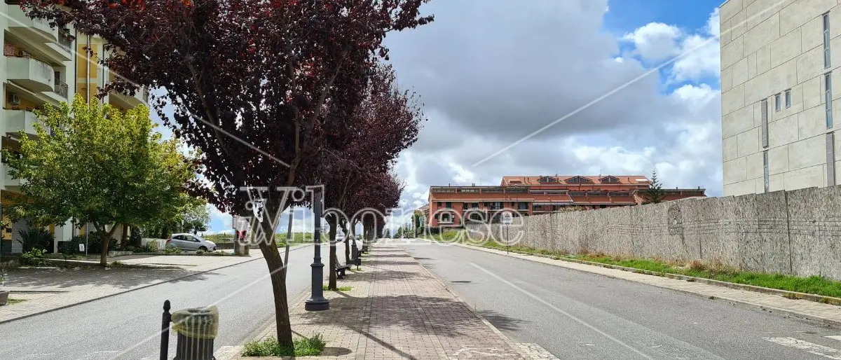 Vibo, Moderata Durant si prepara a ospitare il “Mercatino Autunnale”: ecco quando