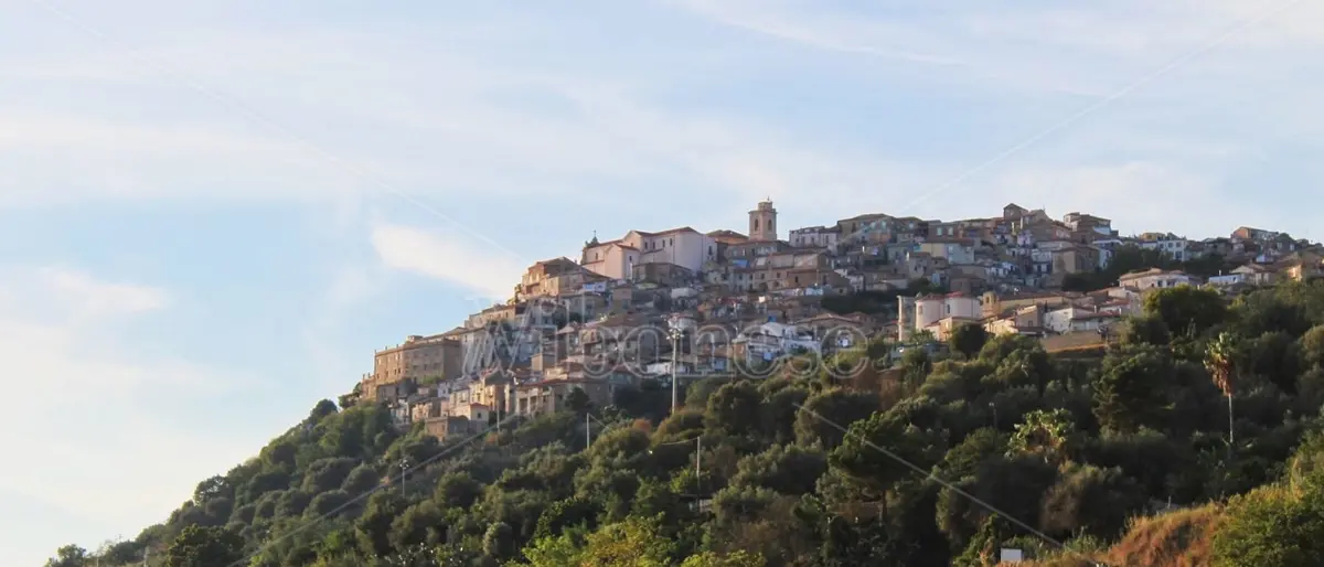 Il vitigno della Dieta Mediterranea, a Nicotera focus sul “Magliocco canino”