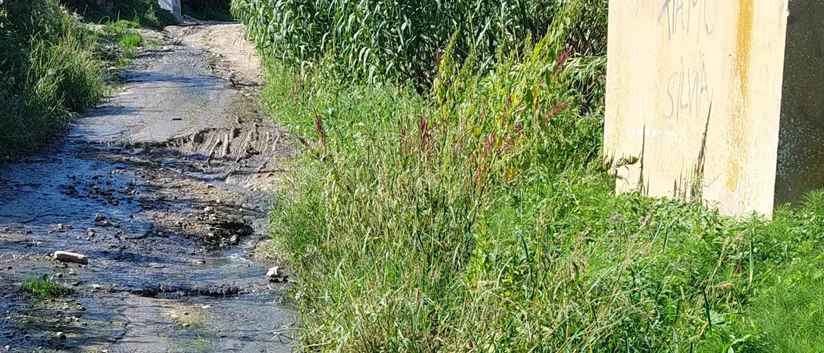 Vene e Triparni, scatta «l'emergenza sanitaria»: perdite fognarie e acqua non potabile