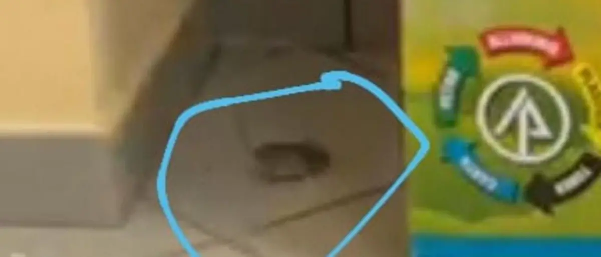 Vibo, al “Berto” tanti problemi: la denuncia dei rappresentanti di istituto