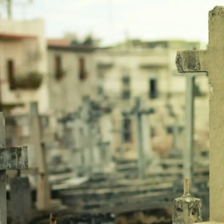 Degrado al cimitero di Pizzo, il sindaco: «Proprietari di loculi e cappelle provvedano a pulire»