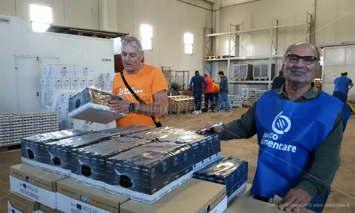Banco alimentare senza sede, Comune di Vibo e associazioni al lavoro per scongiurare lo stop del servizio: soluzione provvisoria a Mileto