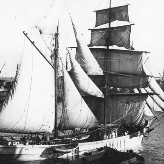 Albero della Cuccagna, antica tradizione che lega Vibo Marina alla goletta \"Florette\"