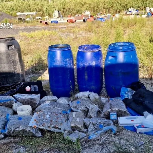 I carabinieri sequestrano droga e un arsenale nel Vibonese: due arresti - Video