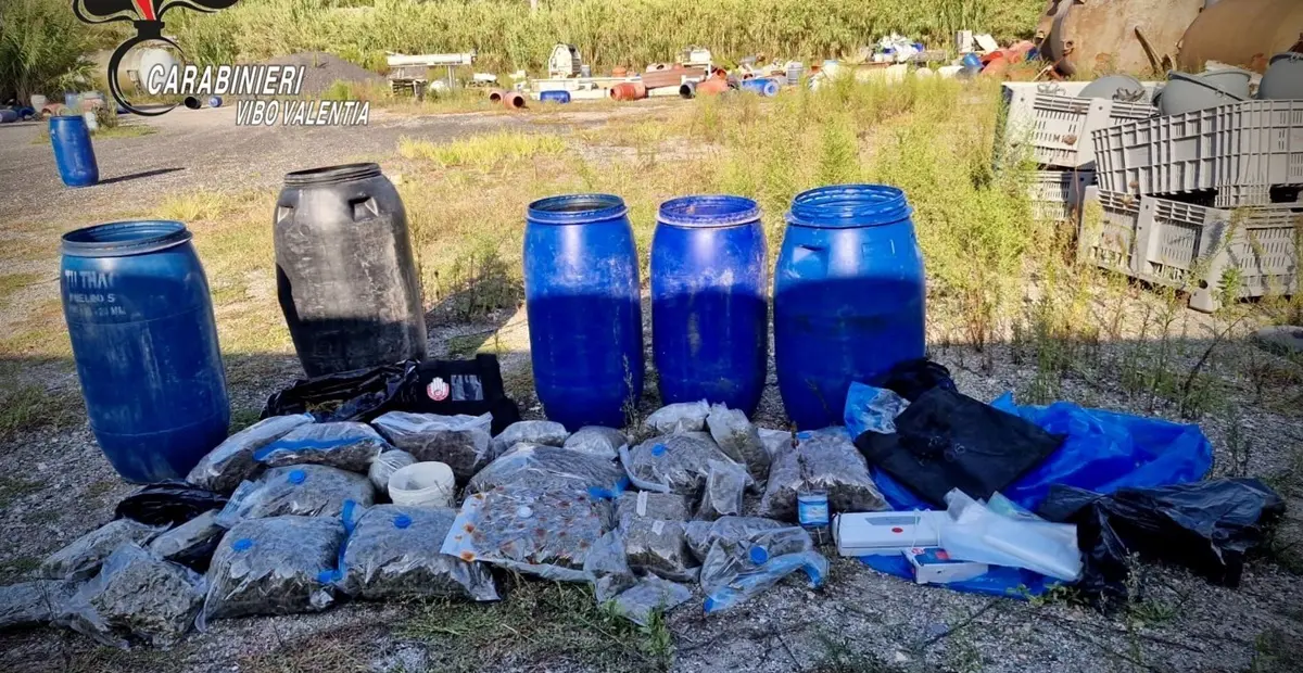 I carabinieri sequestrano droga e un arsenale nel Vibonese: due arresti - Video