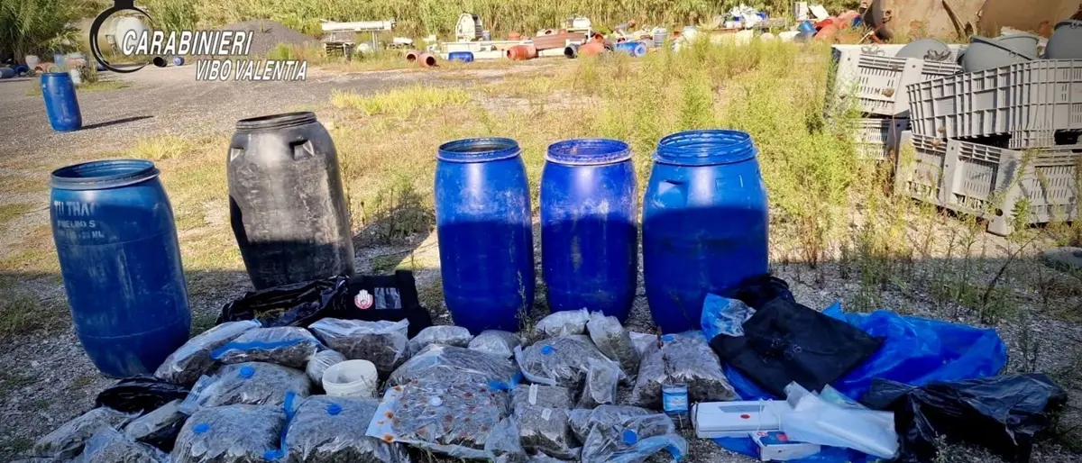 I carabinieri sequestrano droga e un arsenale nel Vibonese: due arresti - Video