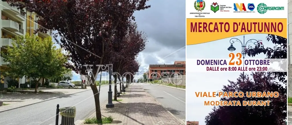 Vibo, tutto pronto per il Mercatino autunnale a Moderata Durant: 50 gli stand