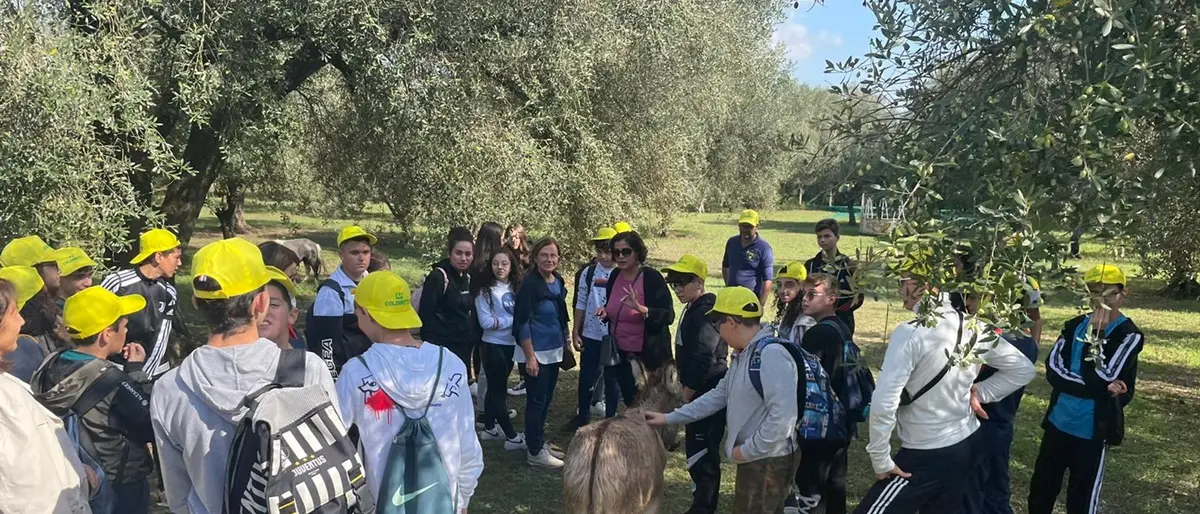 Educazione alimentare nelle scuole: a Limbadi il percorso didattico sull’olio organizzato da Coldiretti