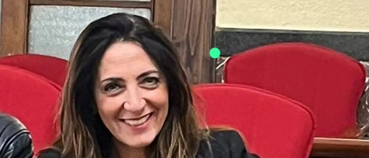 Comune di Vibo: il sindaco ridistribuisce le deleghe e nomina un nuovo assessore