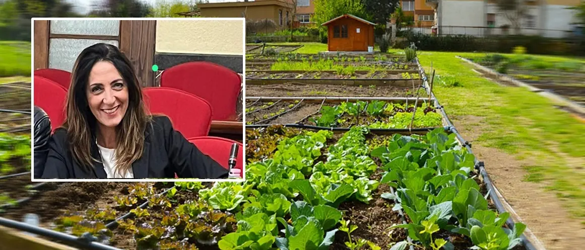 Vibo città sostenibile, Katia Franzè (Coraggio Italia) rilancia l’idea degli “orti sociali”