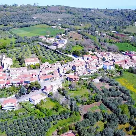 “Rinascita-Scott”: la ‘ndrina di Filandari, ruoli e gerarchie nel clan Soriano