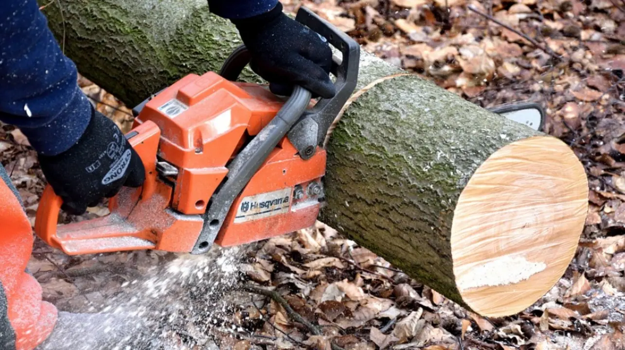 Brognaturo, ordinata la pulizia di terreni e canali di scolo per garantire la sicurezza delle strade