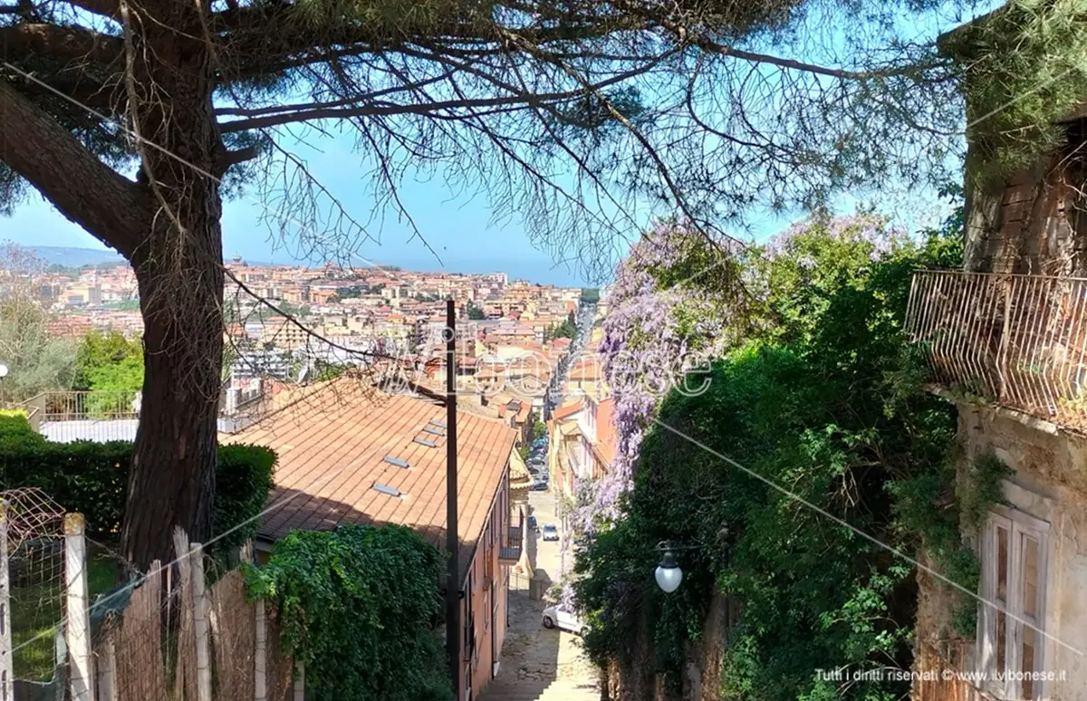 Vibo, l’Osservatorio civico: «Servono servizi o la fuga dei giovani sarà inarrestabile»