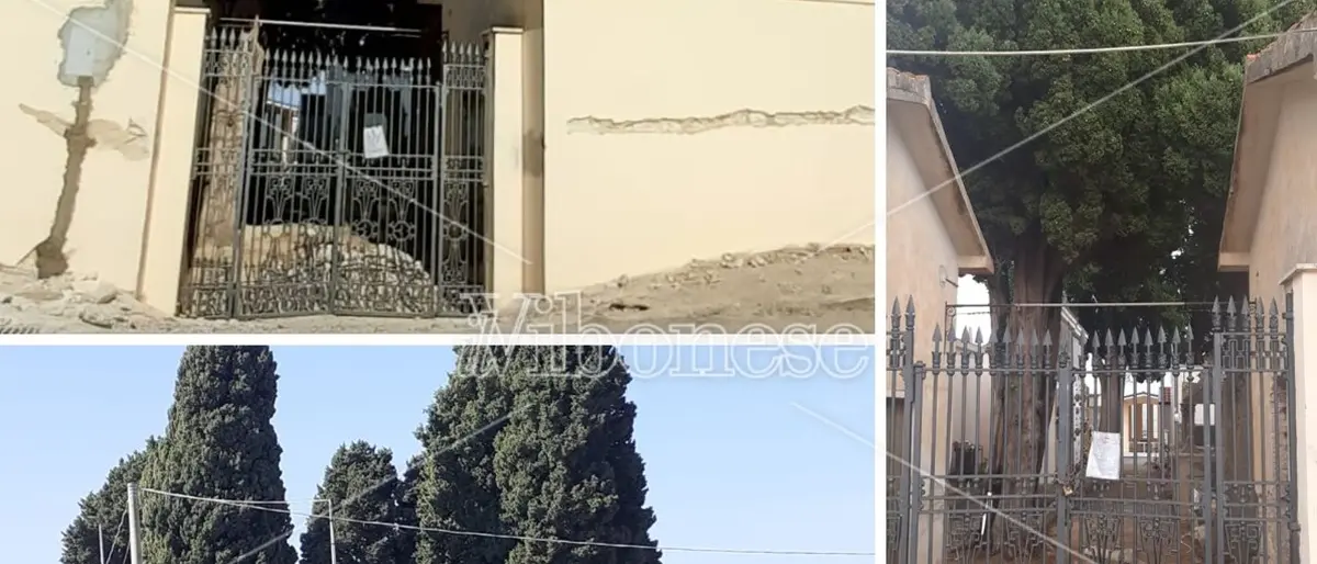 Taglio cipressi a Zaccanopoli, Calzone (Wwf): «Ordinanza illegittima, non sono pericolosi»