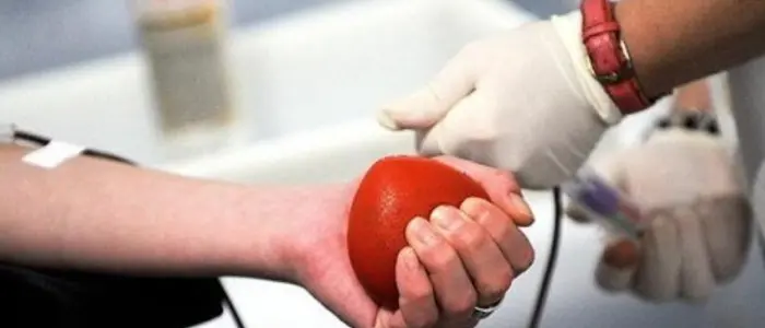 Vivere sano e donare il sangue, proseguono gli incontri di Avis Vibo nelle scuole