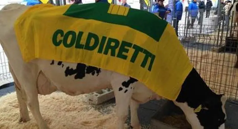 Il \"Villaggio\" della Coldiretti di Cosenza sbarcherà anche a Vibo Valentia