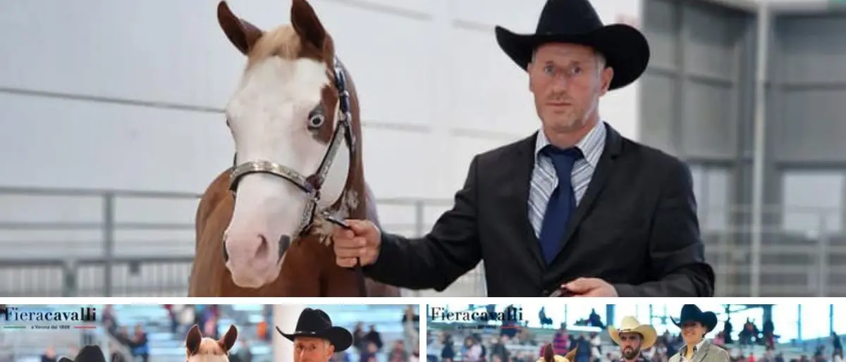 Fieracavalli, a Verona pioggia di premi per il puledro del ranch di Simbario
