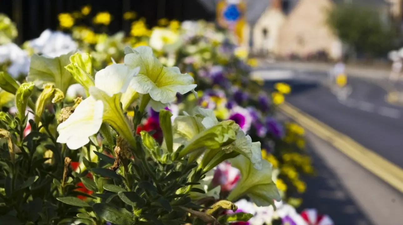 A Ionadi le prime aree verdi comunali “adottate” da imprese e associazioni