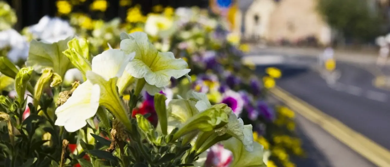 A Ionadi le prime aree verdi comunali “adottate” da imprese e associazioni