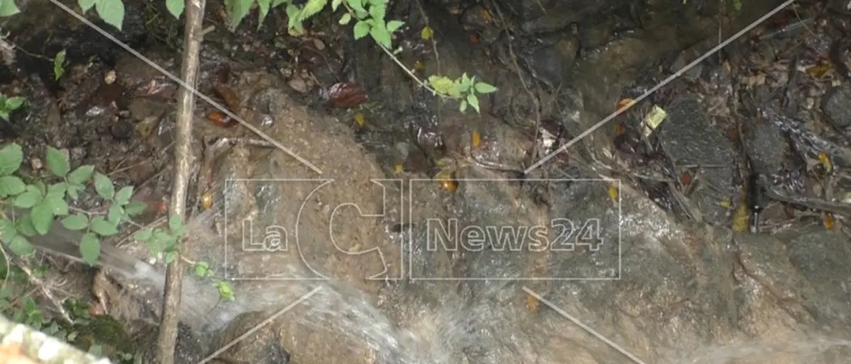 Filandari, ad Arzona una fogna a cielo aperto che inquina il Mesima - Video