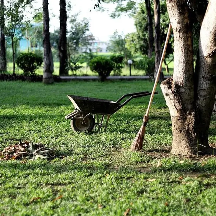 Ricadi, indetta gara d'appalto per la manutenzione delle aree verdi