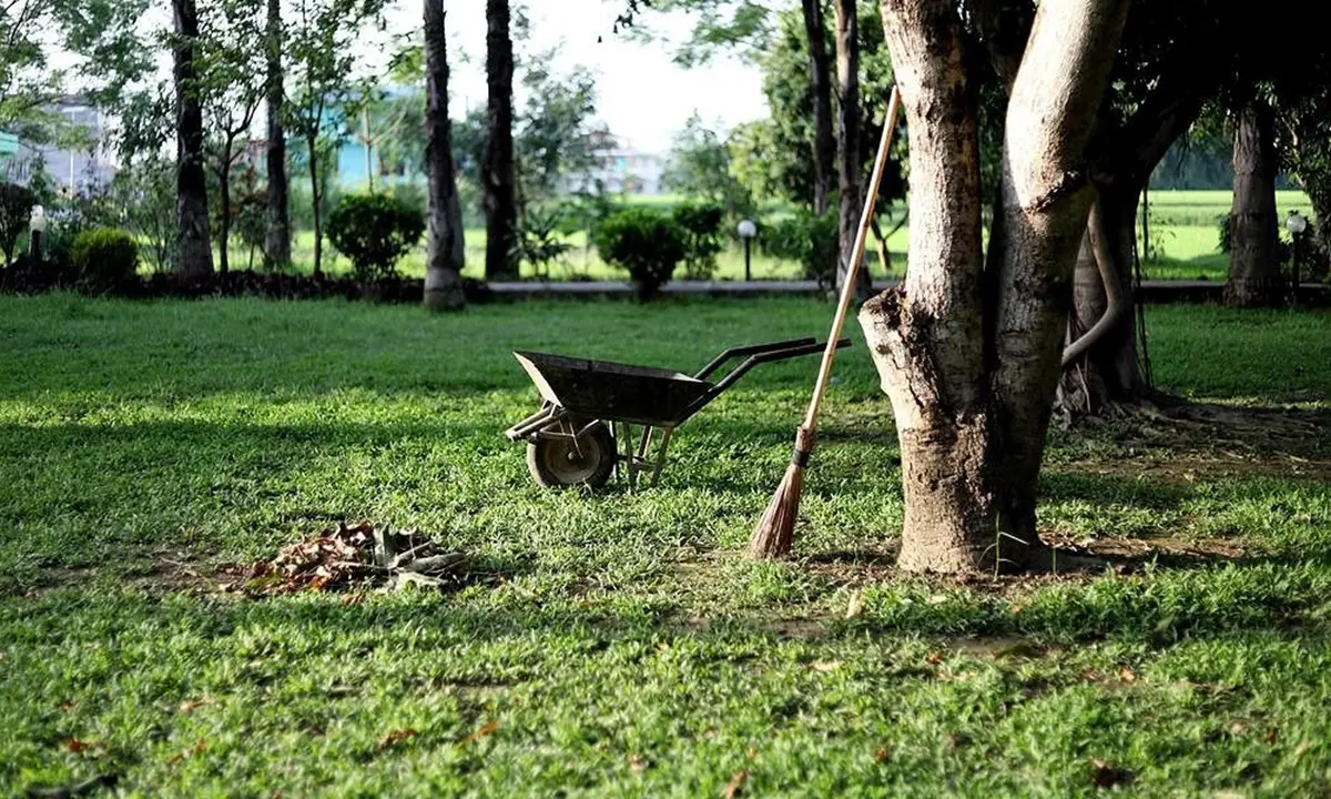 Ricadi, indetta gara d'appalto per la manutenzione delle aree verdi