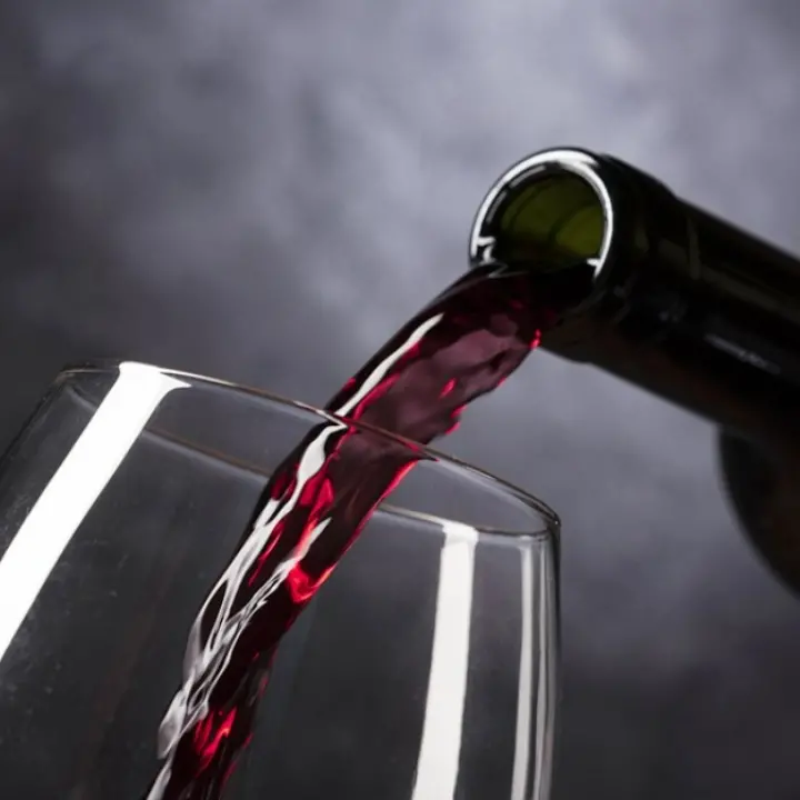 San Costantino Calabro: musica e prodotti tipici per la festa di San Martino