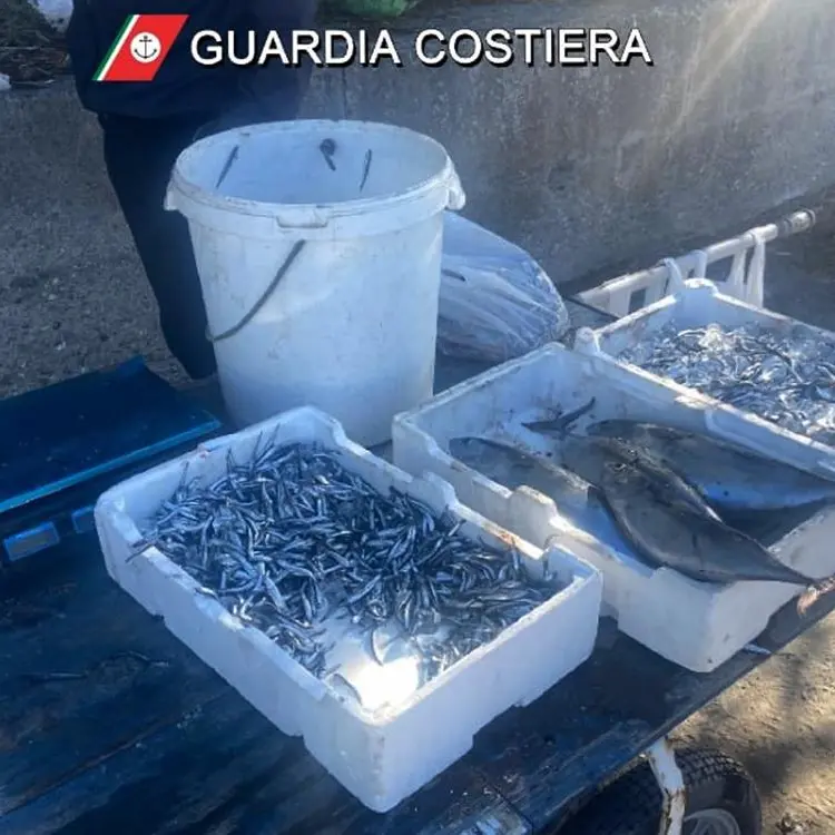 Sequestrati e distrutti cento chili di pesce, operazione coordinata dalla Capitaneria di Porto di Vibo