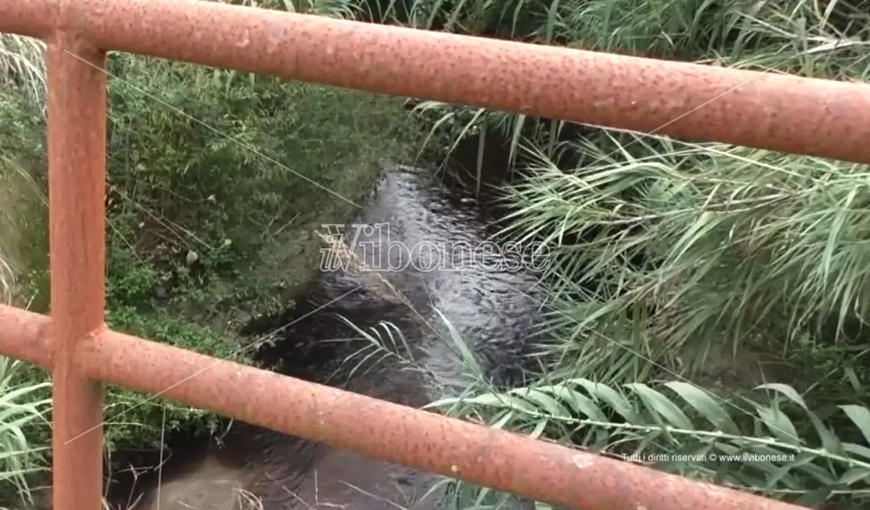 Anche a San Calogero fogna che inquina il Mesima. Il sindaco: «I depuratori non funzionano» - Video