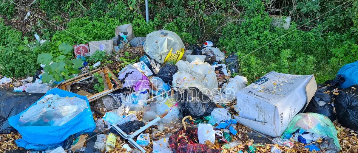 Discarica Vibo-Triparni, il Comune accusa la Provincia che tace. E a rimetterci sono ambiente e decoro