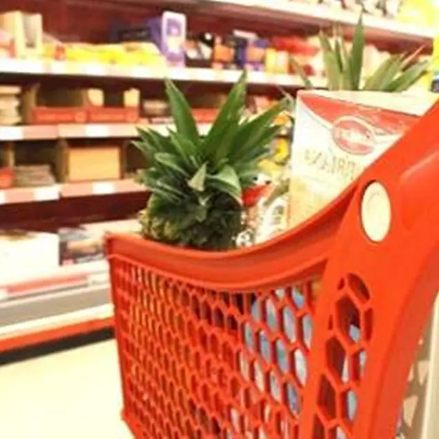 Briatico, buoni spesa e fondi per la tassa sui rifiuti: al via le domande