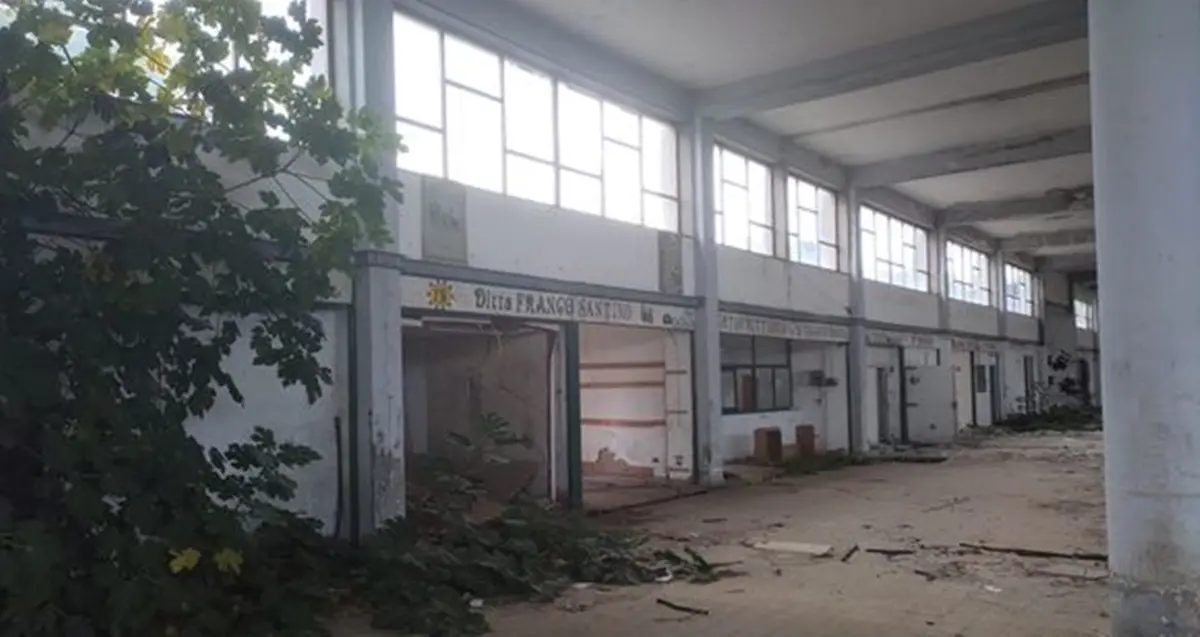 Mercati generali di Vibo, la denuncia di Colelli (Pd): «Degrado assoluto»