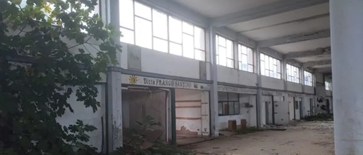 Vibo, Mercati generali: i consiglieri Pugliese e Soriano presentano un'interrogazione