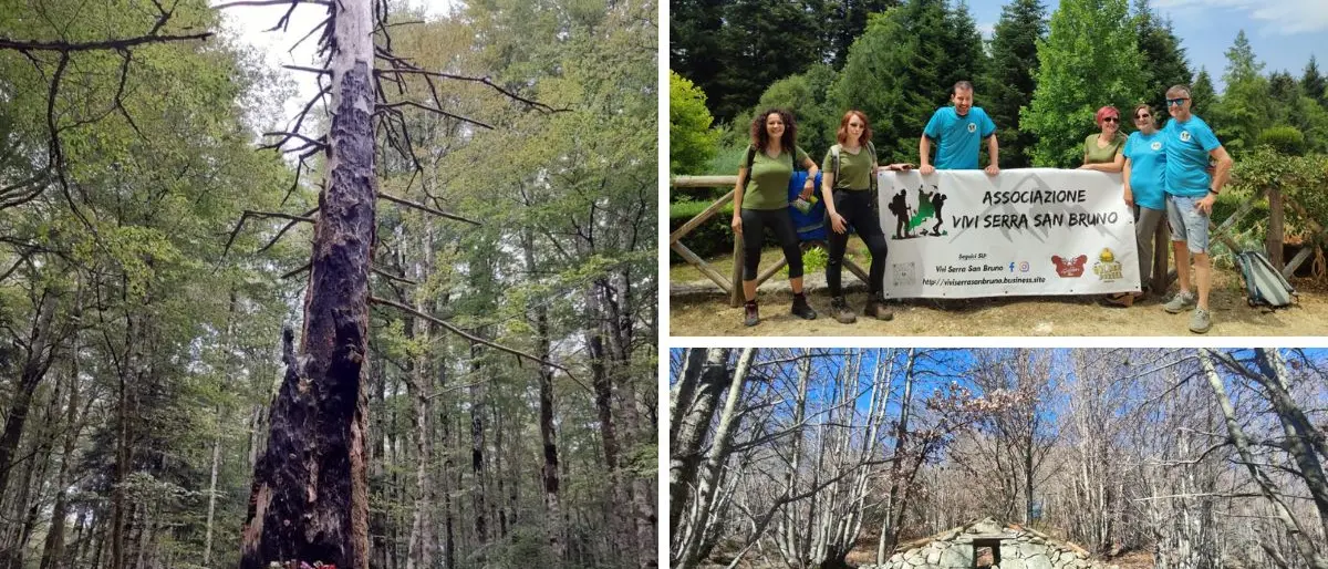 Escursioni, “Vivi Serra” chiude il cerchio 2022: «Così promuoviamo la storia e i nostri boschi»