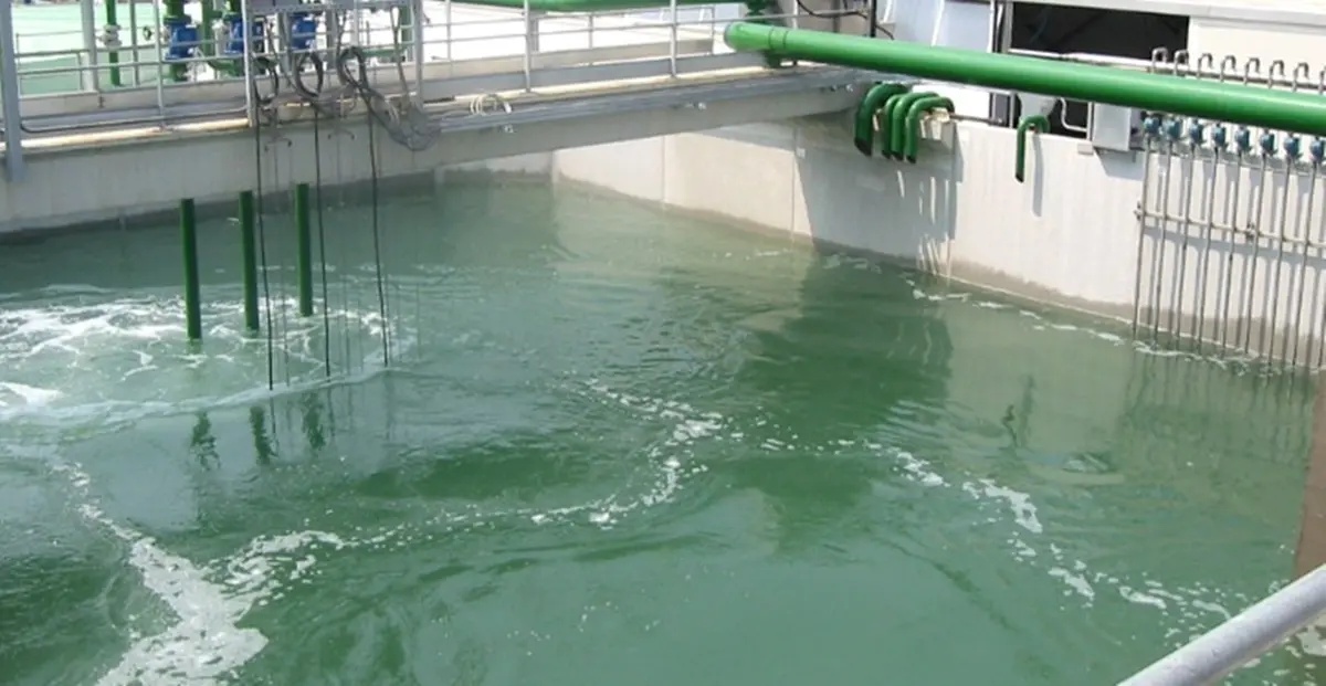 Dal progetto esecutivo alla pubblicazione della gara: il nuovo depuratore di San Calogero non è più un miraggio