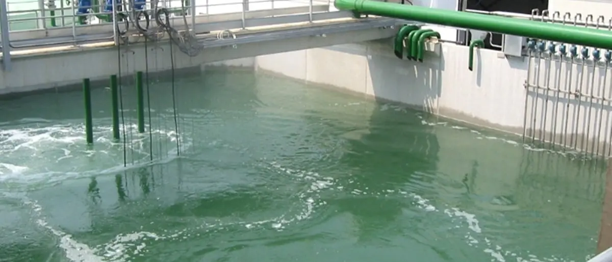 Dal progetto esecutivo alla pubblicazione della gara: il nuovo depuratore di San Calogero non è più un miraggio