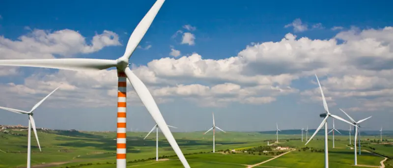 Paolillo: «Eolico nei boschi tra Monterosso e Capistrano? No grazie»