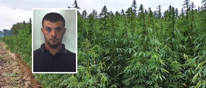 Narcotraffico: “Giardini segreti”, fissato il processo d’appello