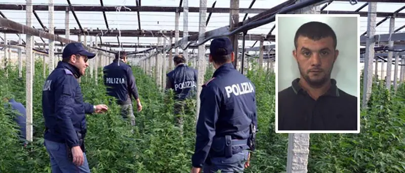 Narcotraffico: “Giardini segreti”, otto condanne in appello