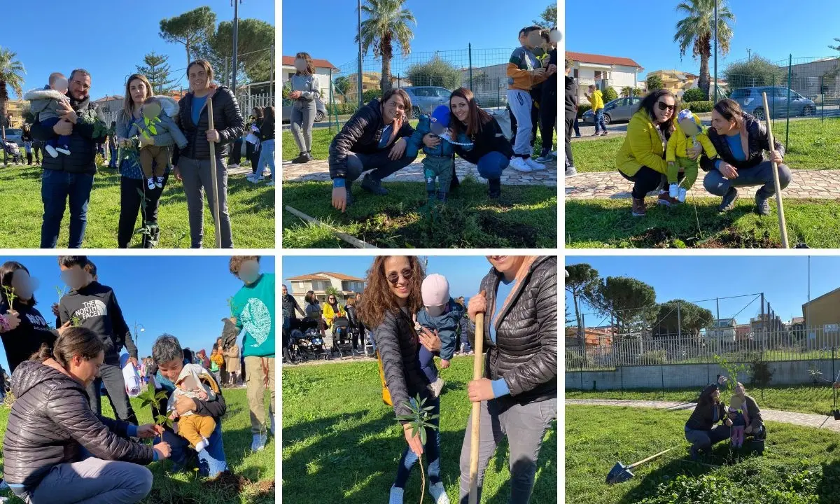 Un albero per ogni nuovo nato, a Briatico l’evento green con gli studenti