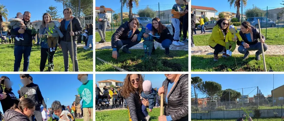 Un albero per ogni nuovo nato, a Briatico l’evento green con gli studenti