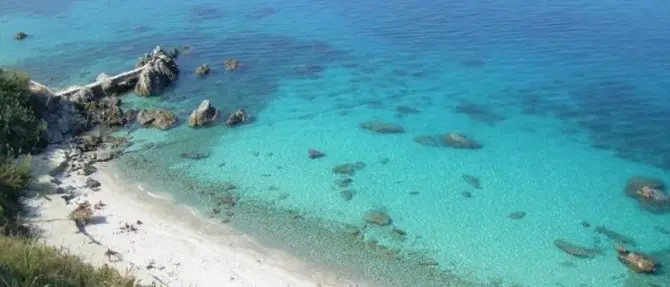 Parghelia, divieto di animali in spiaggia: Vasinton attacca Landro