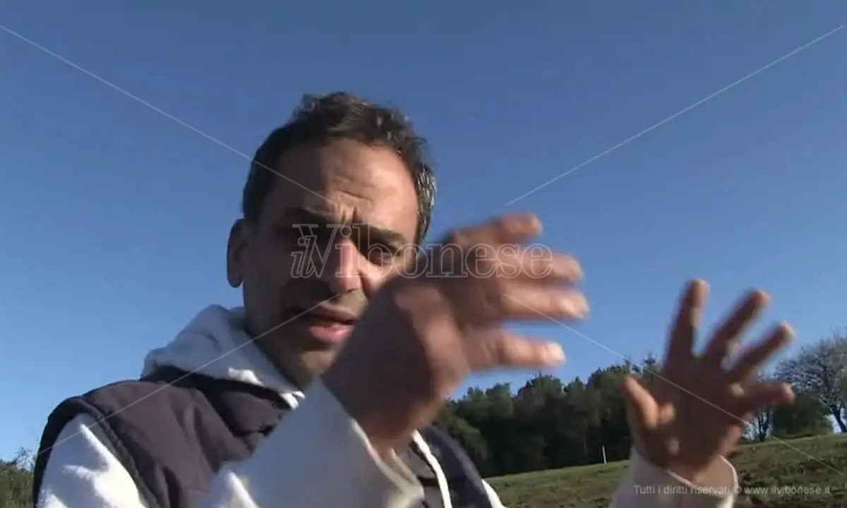 Emergenza cinghiali nel Vibonese: la protesta degli agricoltori di Maierato - Video