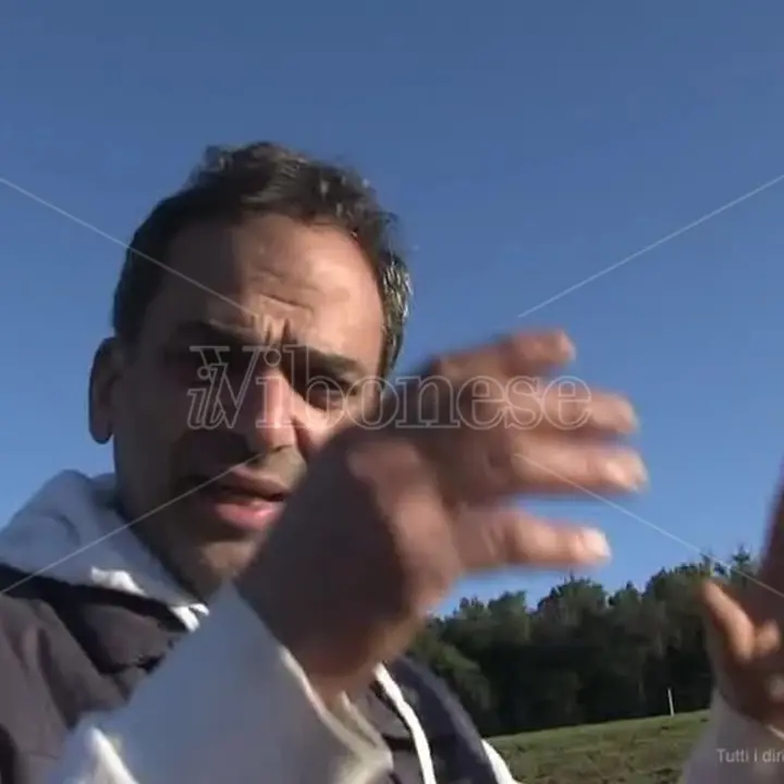 Emergenza cinghiali nel Vibonese: la protesta degli agricoltori di Maierato - Video