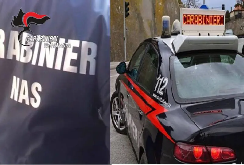 Ristorante e 120 chili di pesce sequestrati a Vibo Marina