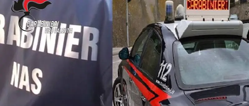 Ristorante e 120 chili di pesce sequestrati a Vibo Marina