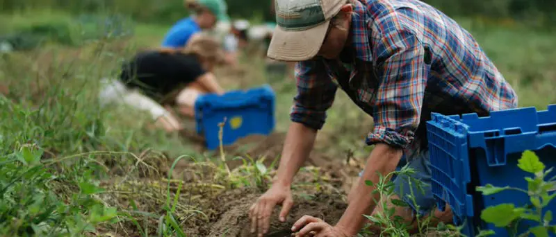 Agricoltori senz’acqua nel Briaticese: conclusi i lavori di ripristino del bypass sul Murria
