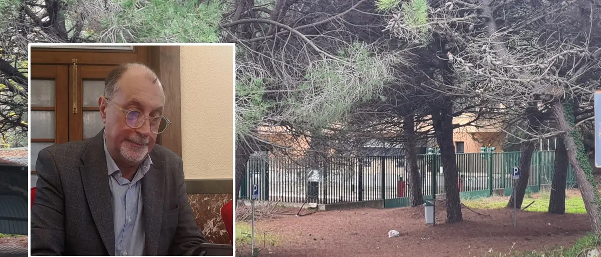 Ex Italcementi di Vibo Marina, Santoro: «Anni fa il sopralluogo con il Comune. Poi nulla più»