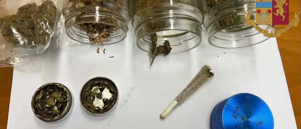 Controlli antidroga in due centri del Vibonese: denunce e segnalazioni alla Prefettura